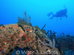 gaby in the tire reef at crash boat in aguadilla ,PUERTO ... by Victor J. Lasanta 